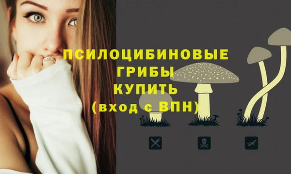 таблы Инта
