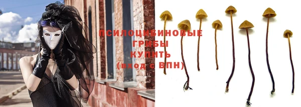 apvp Каменск-Шахтинский