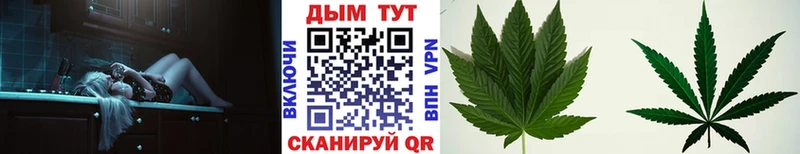 Шишки марихуана THC 21%  Купить закладки  Среднеколымск 